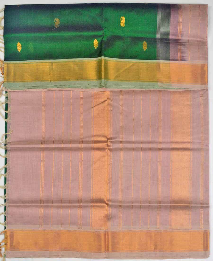 Silk-Cotton 12173